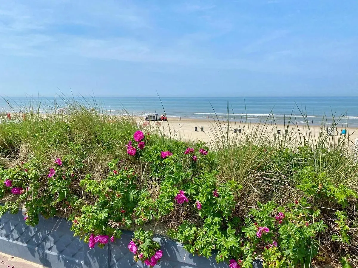 @54 Apartment Zandvoort 0*,